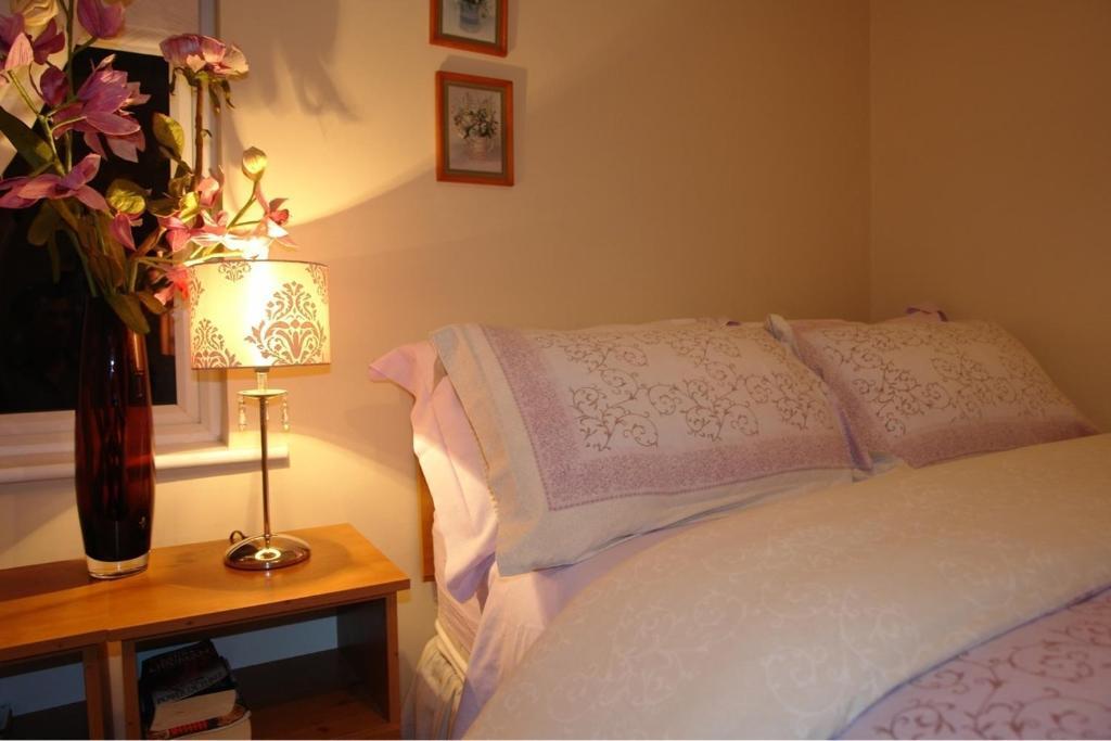 Bed and Breakfast Annandale House Dublin Exteriér fotografie